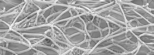Magnified web of polyester fibers